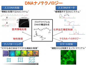 DNAナノテクノロジー